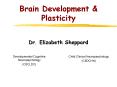 Brain Development PowerPoint PPT Presentation