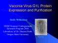 Vaccinia Virus G1L Protein Expression and Purification PowerPoint PPT Presentation