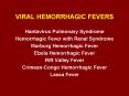 VIRAL HEMORRHAGIC FEVERS PowerPoint PPT Presentation