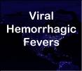 Viral Hemorrhagic Fevers PowerPoint PPT Presentation