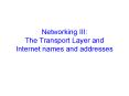 Networking III: The Transport Layer and Internet names and addresses PowerPoint PPT Presentation