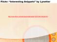 Flickr: Interesting Snippets by Lynetter PowerPoint PPT Presentation