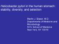 Helicobacter pylori in the human stomach: PowerPoint PPT Presentation