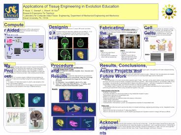 Applications of Tissue Engineering in Evolution Education