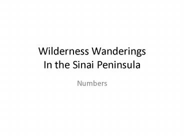 Wilderness Wanderings In the Sinai Peninsula