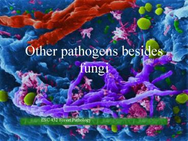 Other pathogens besides fungi