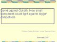 David against Goliath: How small companies could fight against bigger competitors PowerPoint PPT Presentation