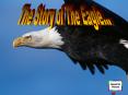 Eagle rebirth 3 PowerPoint PPT Presentation