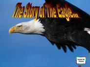 Eagle rebirth 3