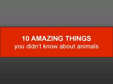 10 AMAZING Things you didnt know about animals