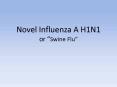 Human Influenza H1N1 PowerPoint PPT Presentation