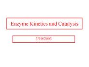 Enzyme Kinetics and Catalysis