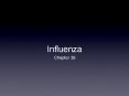 Influenza PowerPoint PPT Presentation