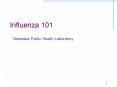 Influenza 101 PowerPoint PPT Presentation