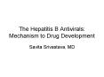 The Hepatitis B Antivirals: Mechanism to Drug Development PowerPoint PPT Presentation