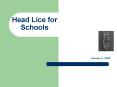 Head Lice for Schools PowerPoint PPT Presentation