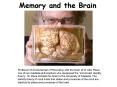 Memory and the Brain PowerPoint PPT Presentation