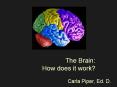 The Brain: How does it work? PowerPoint PPT Presentation