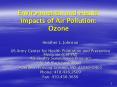 Environmental and Health Impacts of Air Pollution: Ozone PowerPoint PPT Presentation