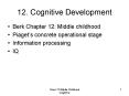 12' Cognitive Development PowerPoint PPT Presentation