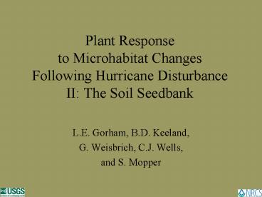 Plant Response to Microhabitat Changes Following Hurricane Disturbance II: The Soil Seedbank