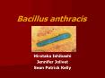 Bacillus anthracis PowerPoint PPT Presentation