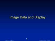 Image Data and Display