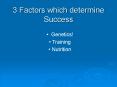 3 Factors which determine Success PowerPoint PPT Presentation