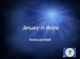 January in Belize PowerPoint PPT Presentation