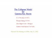 The Collapsar Model for GammaRay Bursts