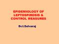 EPIDEMIOLOGY OF LEPTOSPIROSIS PowerPoint PPT Presentation