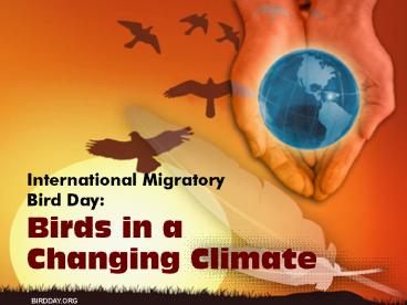 Canaries in the Coal Mine