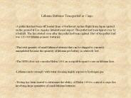 Lithium Batteries Transported as Cargo