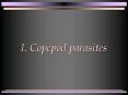 I' Copepod parasites PowerPoint PPT Presentation