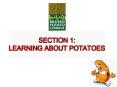 From field to fork: the potatos journey PowerPoint PPT Presentation