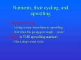 Nutrients, their cycling, and upwelling PowerPoint PPT Presentation