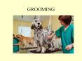 GROOMING PowerPoint PPT Presentation