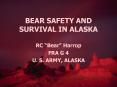 BEAR%20SAFETY%20AND%20SURVIVAL%20IN%20ALASKA PowerPoint PPT Presentation