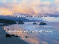 The Purpose Driven Life, Part 4 PowerPoint PPT Presentation