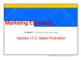 Section 17'2 Sales Promotion