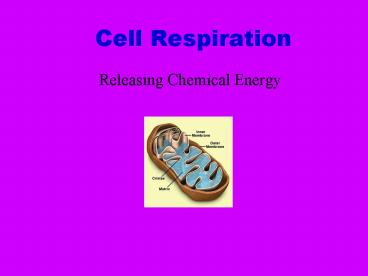 Cell Respiration
