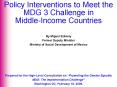 Policy Interventions to Meet the MDG 3 Challenge in Middle-Income Countries PowerPoint PPT Presentation