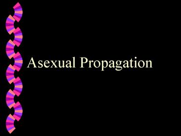 Asexual Propagation