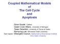 Coupled Mathematical Models of The Cell Cycle and Apoptosis PowerPoint PPT Presentation