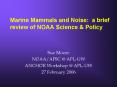 Marine Mammals and Noise: a brief review of NOAA Science PowerPoint PPT Presentation