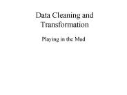 Data Cleaning and Transformation