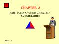 PARTIALLY OWNED CREATED SUBSIDIARIES PowerPoint PPT Presentation