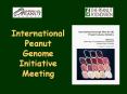 International Peanut Genome Initiative Meeting PowerPoint PPT Presentation
