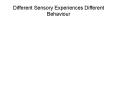 Different Sensory Experiences Different Behaviour PowerPoint PPT Presentation