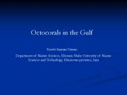 Octocorals in the Gulf